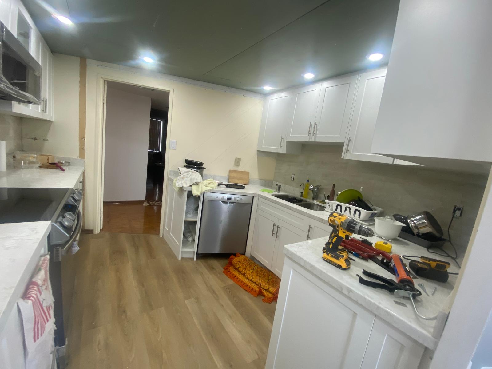 Mississauga Project — Photo 1